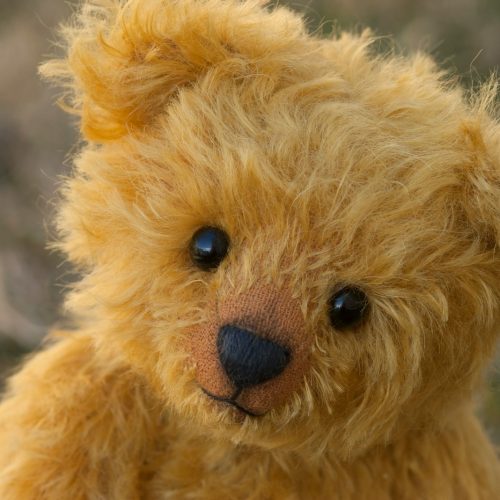 close-up photography of brown teddy bear